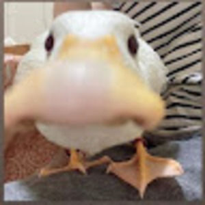 Meet your Posher, Lesley